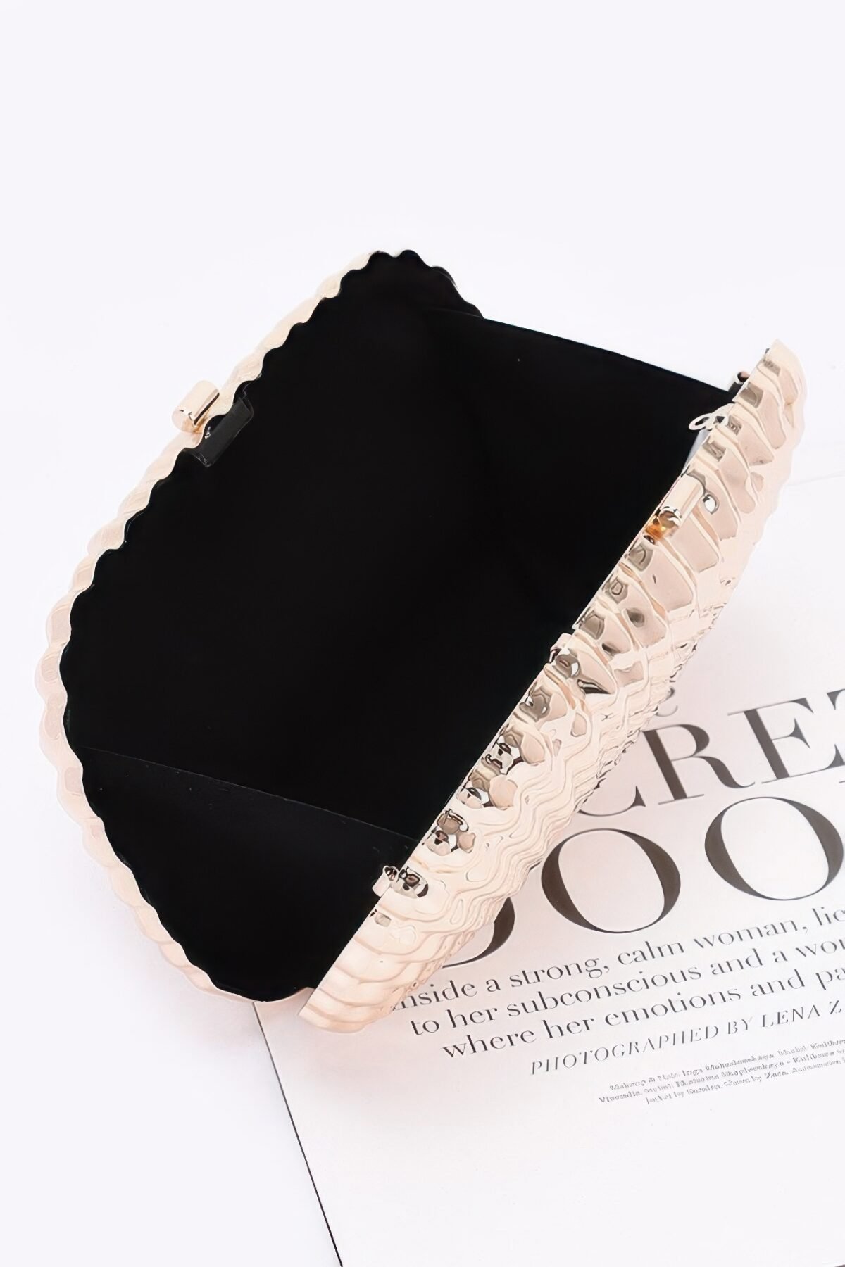 Metal Case Clutch - Image 3